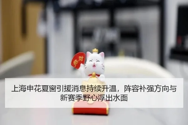 上海申花夏窗引援消息持续升温，阵容补强方向与新赛季野心浮出水面 | yingjiasports